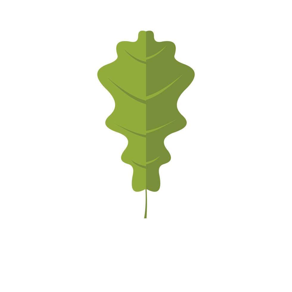Oak leaf icon, flat style vector