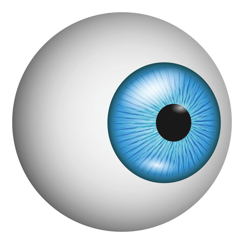 Eye anatomy icon, realistic style vector