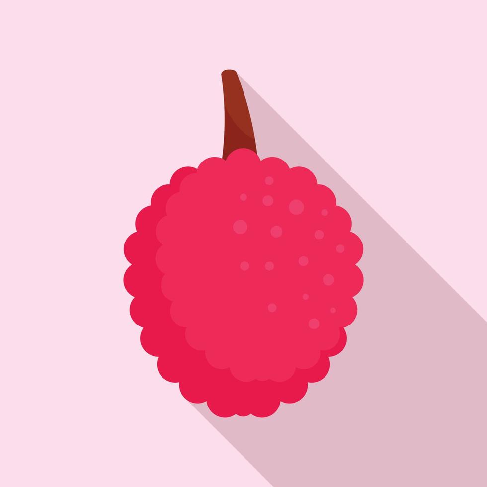 Lychees fruit icon, flat style vector