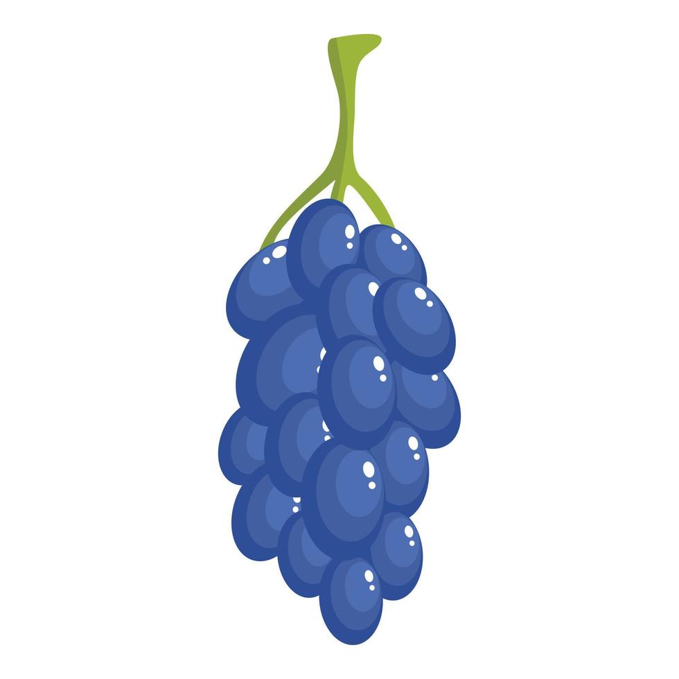 Bunch of grape icon, cartoon style vector