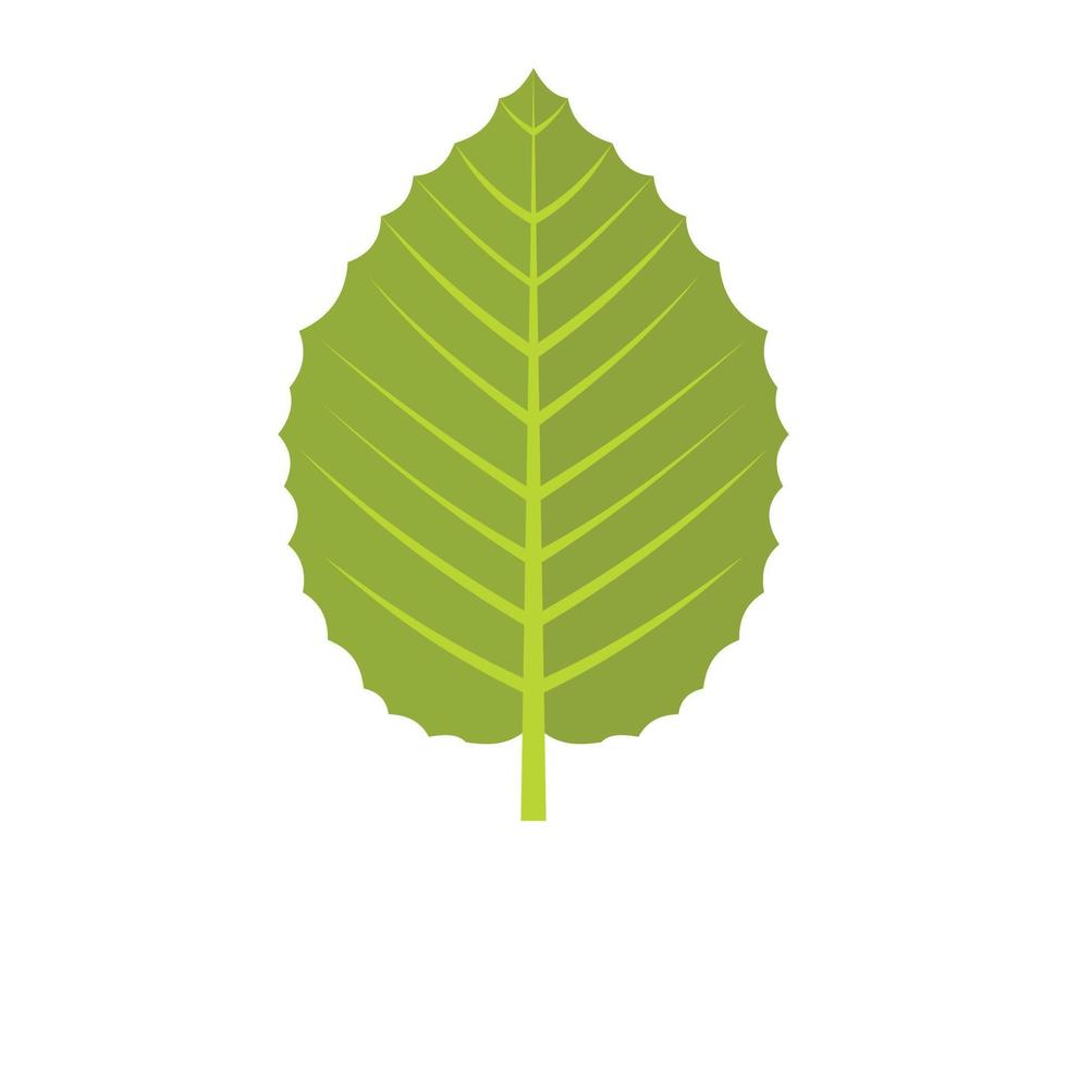 icono de hoja de avellana, estilo plano vector