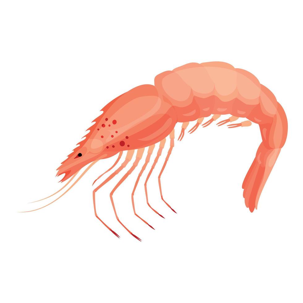 Restaurant raw shrimp icon, cartoon style vector