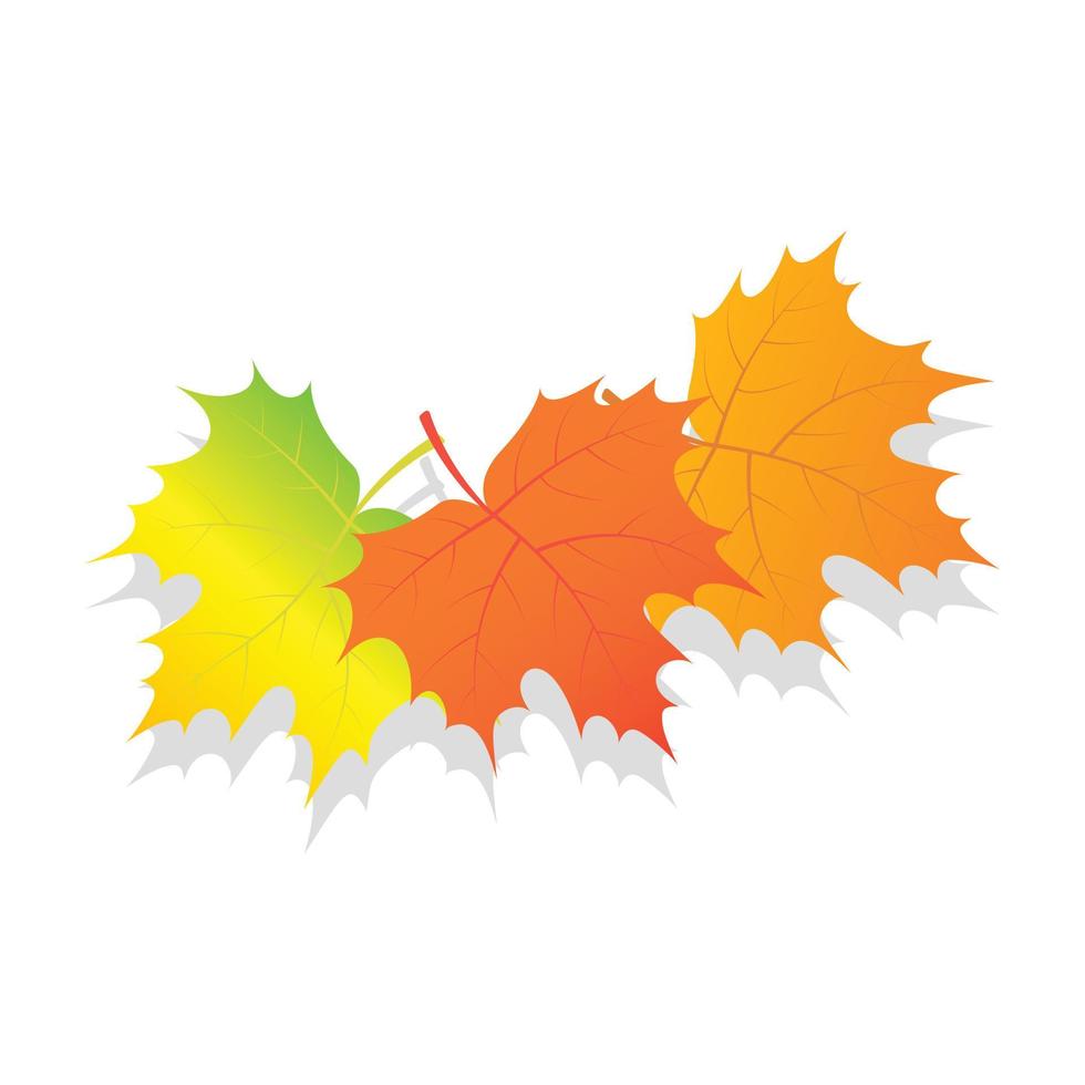 conjunto de icono de hojas de otoño, estilo isométrico vector
