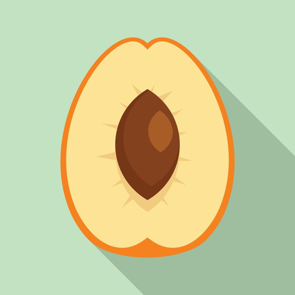 Cutted apricot icon, flat style vector