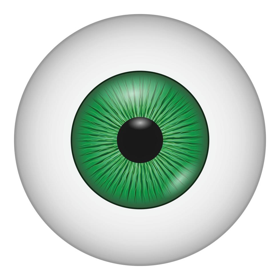 icono de ojo humano, estilo realista vector