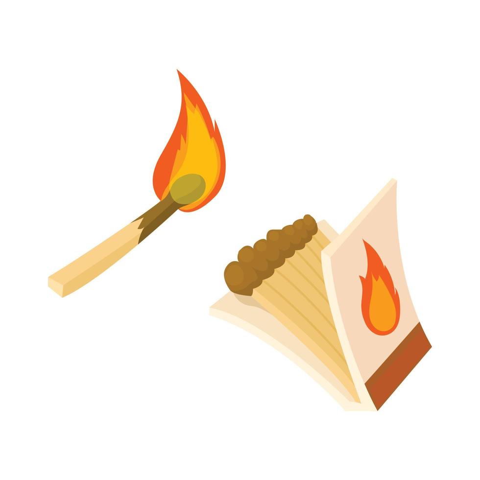 Box of matches and burning match icon vector