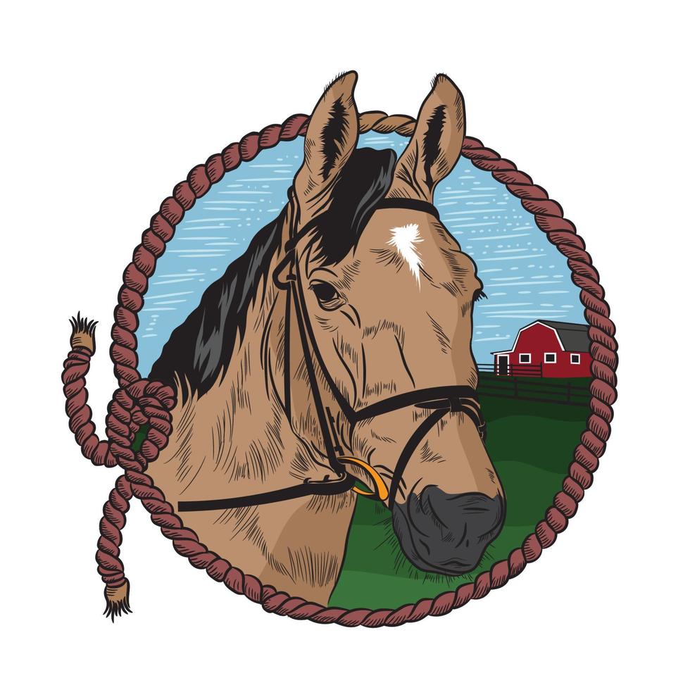 cabeza de caballo y cuerda de lazo ilustración vectorial. perfecto para rancho y logotipo estable vector