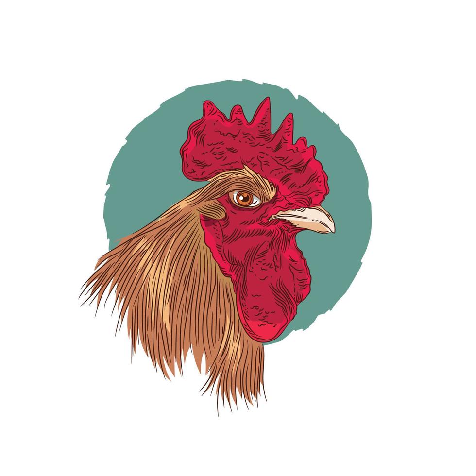 ilustración de vector de cabeza de gallo, perfecta para el logotipo de la granja y el logotipo del producto de la marca de alimentos
