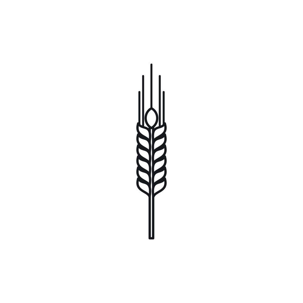 Stalk of ripe barley icon, outline style vector