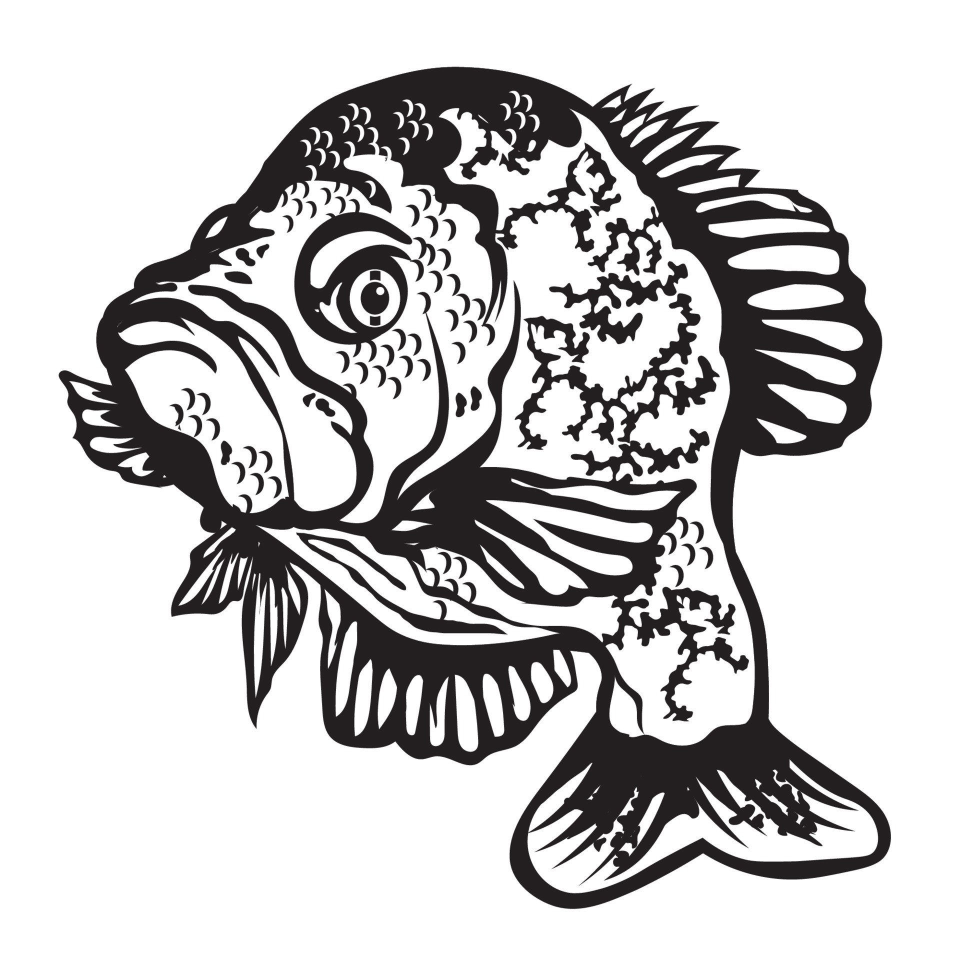 Crappie fish vector illustration, good for tshirt, fishing club