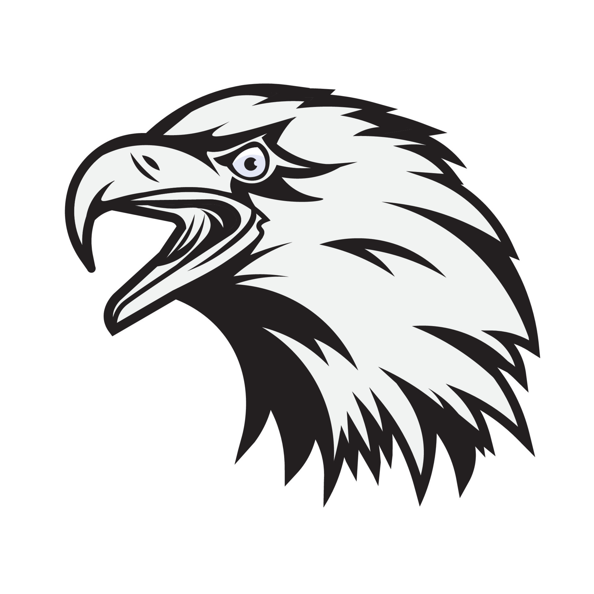 Eagle Mascot  Eagle mascot, Shirt logo design, Eagle sports