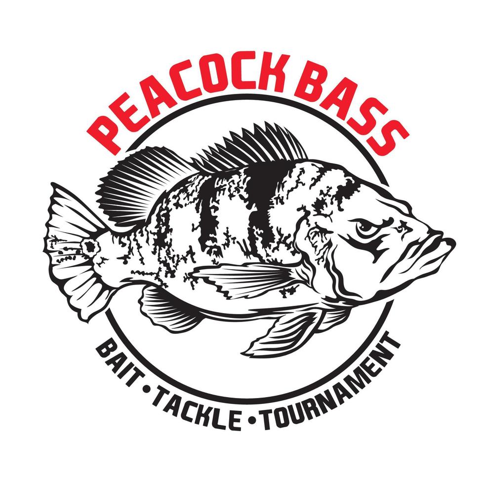 Peacock bass vector illustration logo design, perfect for fishing club, tournament logo and t shirt design