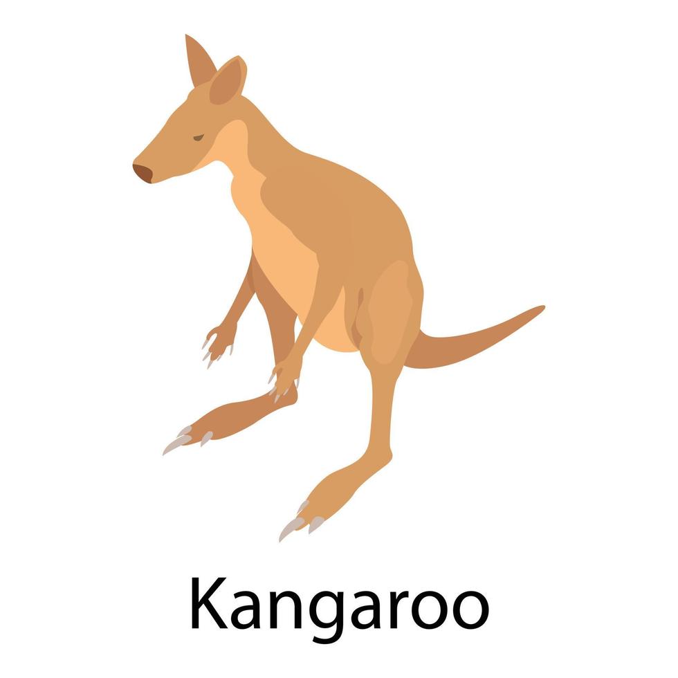 Kangaroo icon, isometric style vector