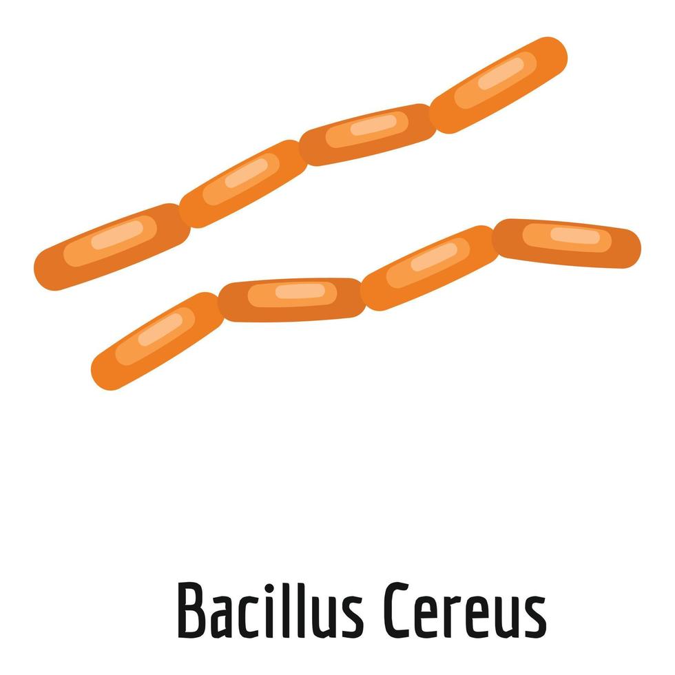 icono de bacillus cereus, estilo de dibujos animados. vector