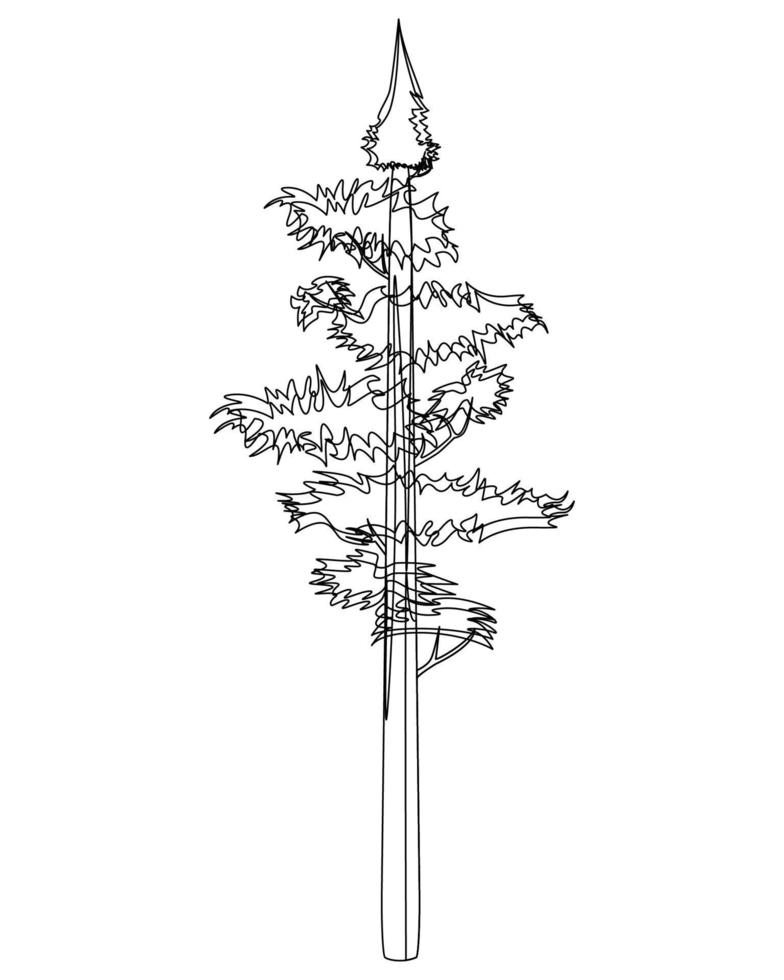 pino alto en lineart. árbol de abeto de coníferas de bosque siempreverde. ilustración vectorial sobre un fondo blanco. vector