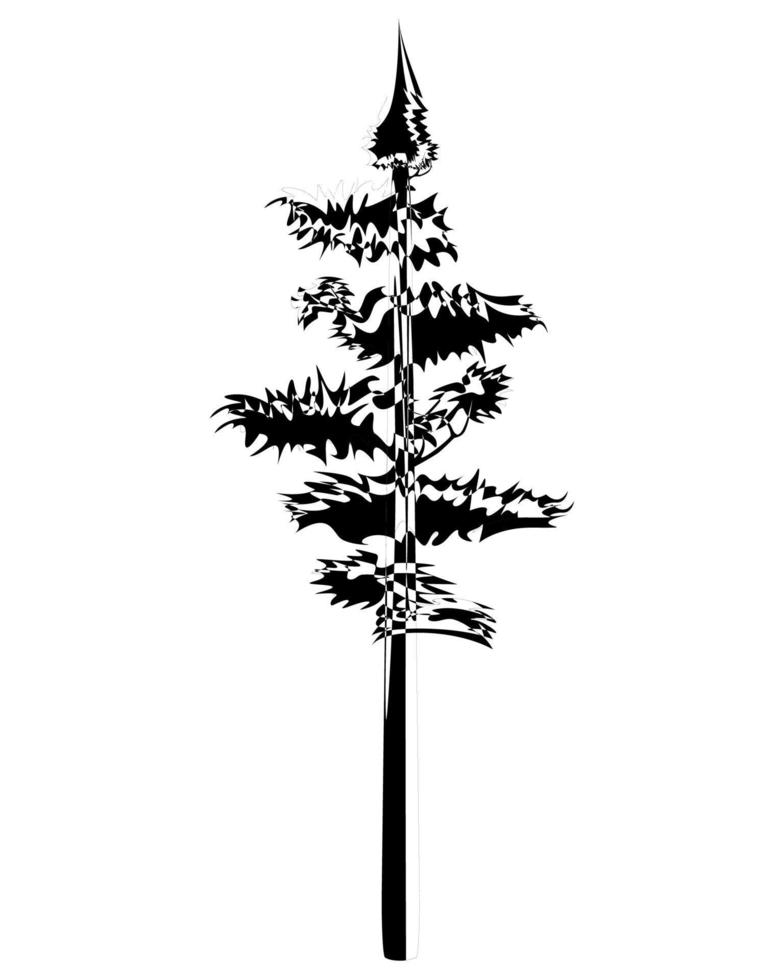 Tall Pine tree in outline. Evergreen forest coniferous spruce tree. Vector illustration on a white background.