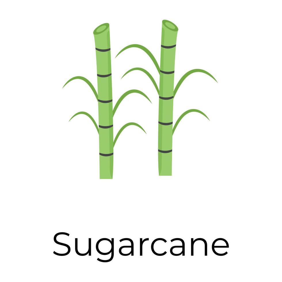 Trendy Bamboo Concepts vector