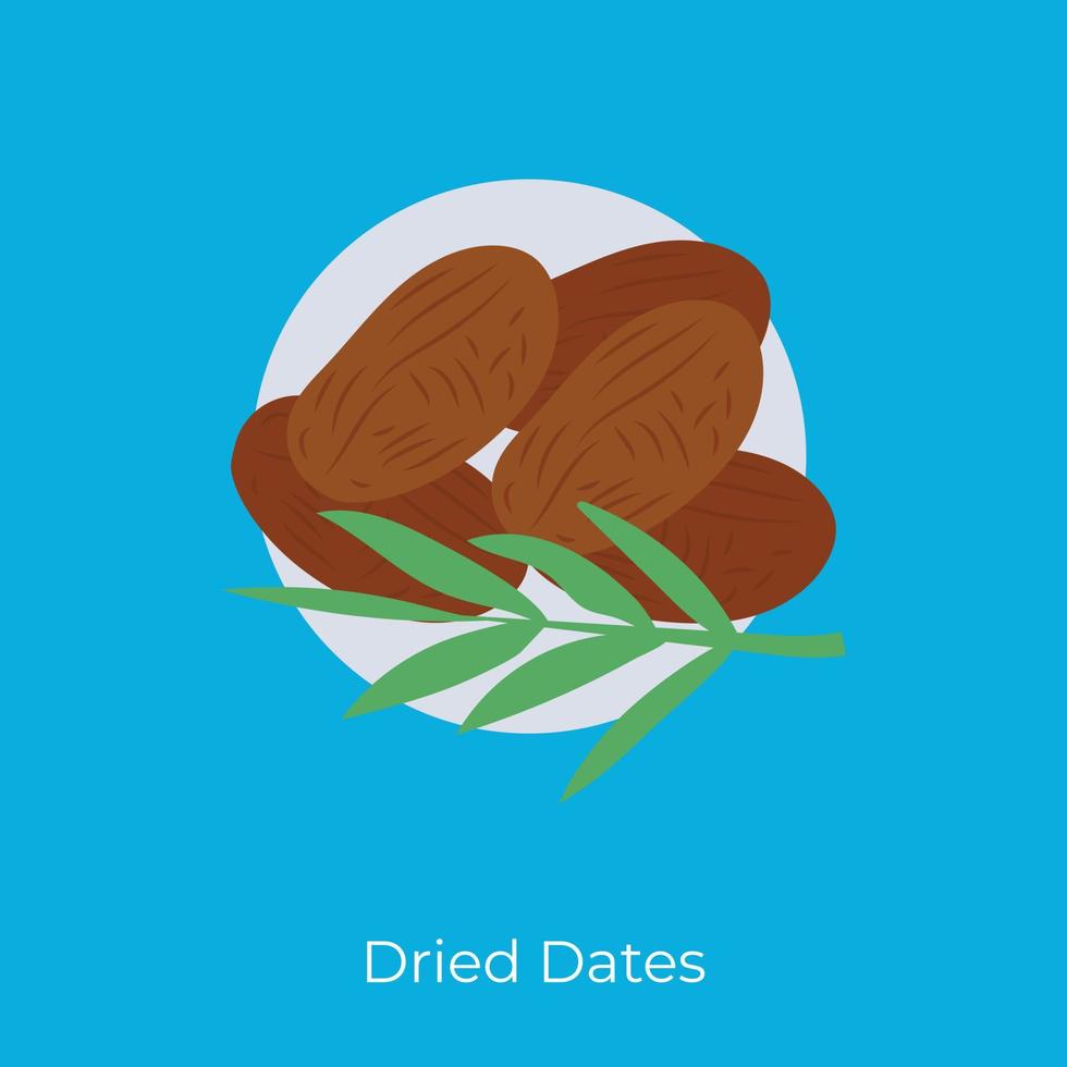 Trendy Dried Dates vector