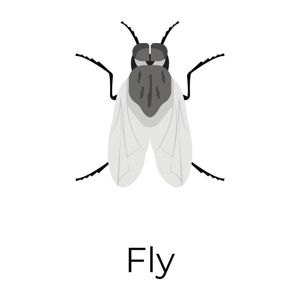 conceptos de mosca de moda vector