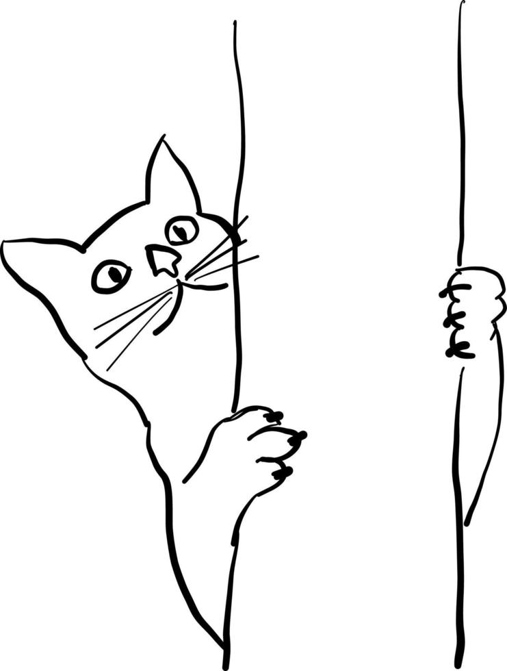 The cat climbs a tree, line drawing. vector
