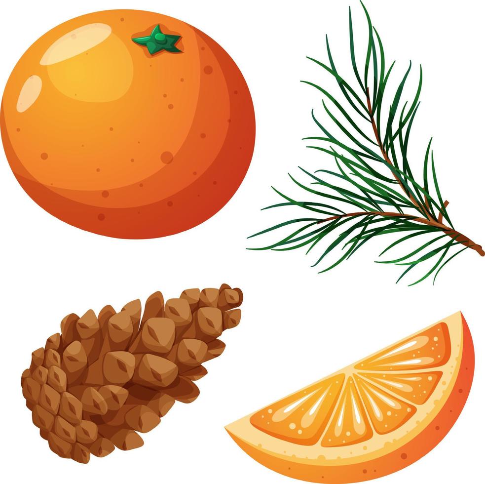 Christmas set, fir branch, cone, orange, tangerine and slice on transparent background vector