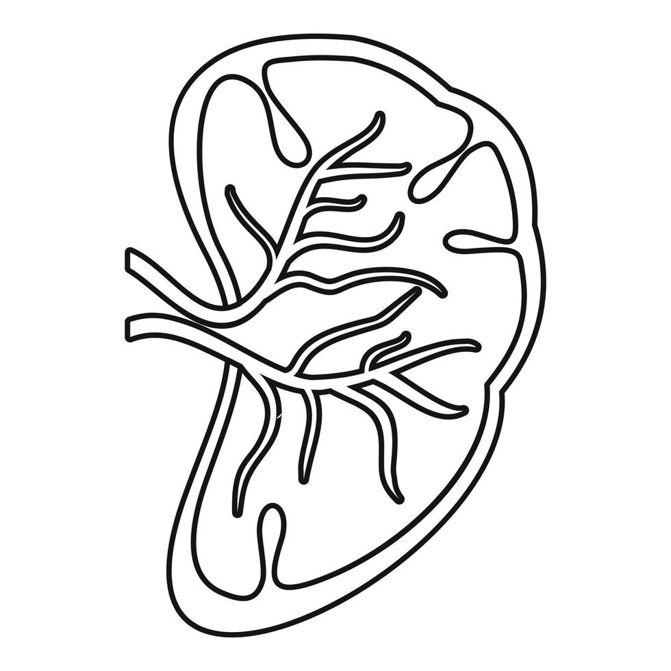 Cut spleen icon, outline style vector