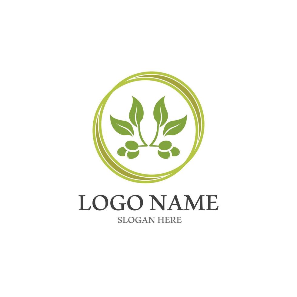 diseño de logotipo de aceite de oliva virgen extra vector