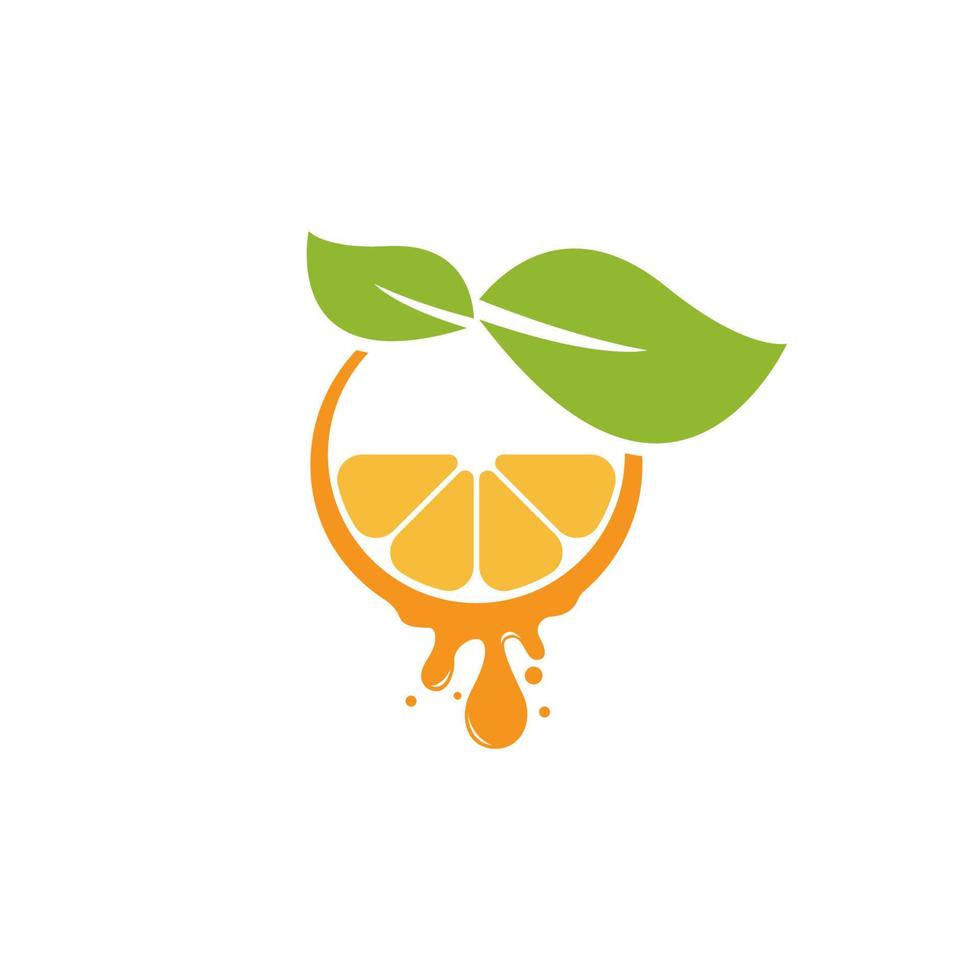 Orange template logo design. Vector