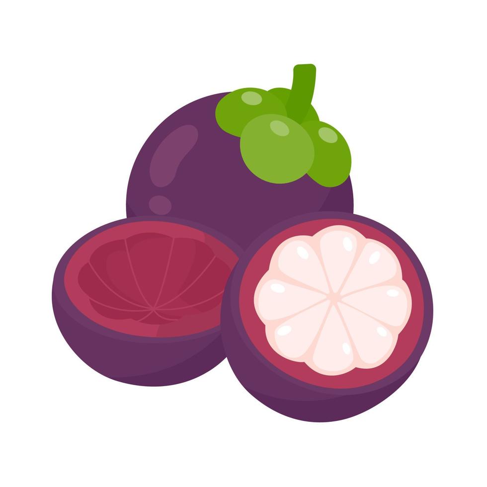 fruta tropical dulce de mangostán morado vector