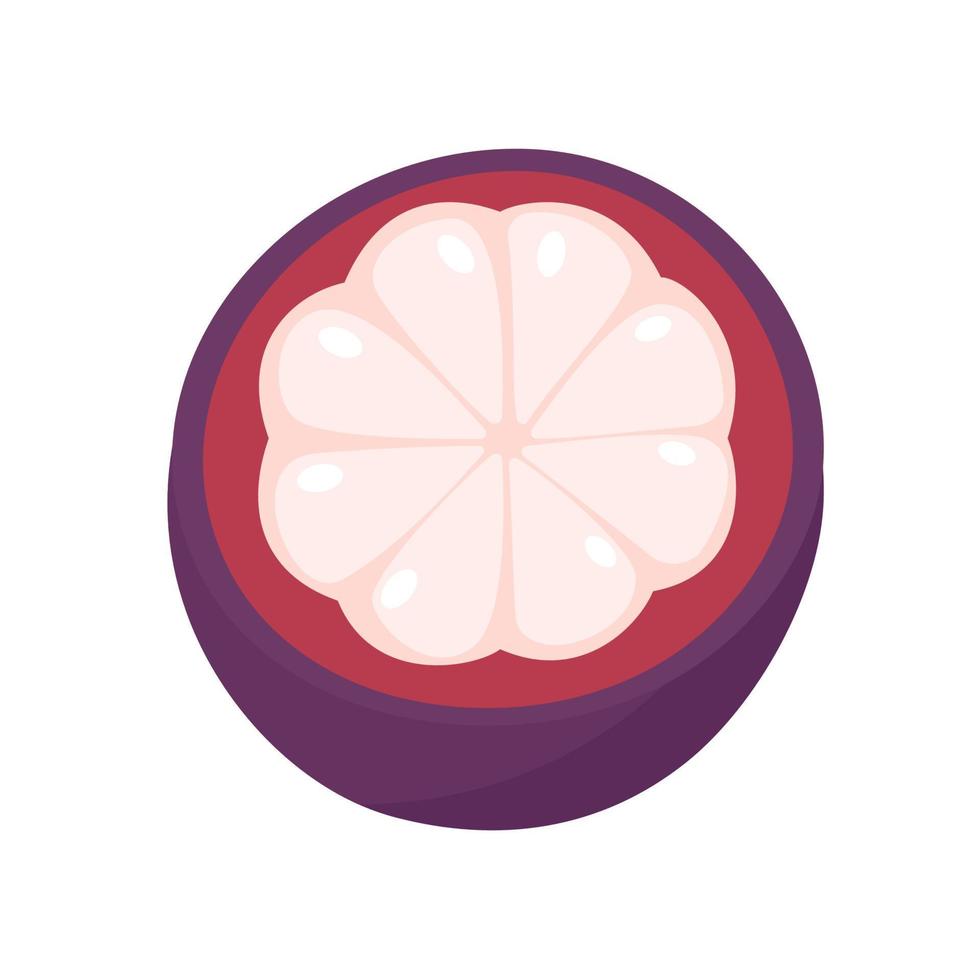 purple mangosteen sweet tropical fruit vector