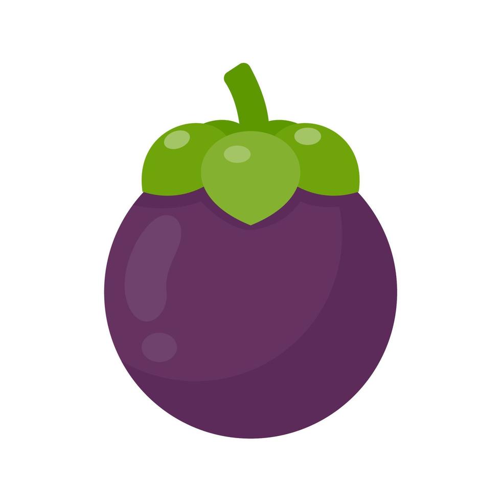 purple mangosteen sweet tropical fruit vector