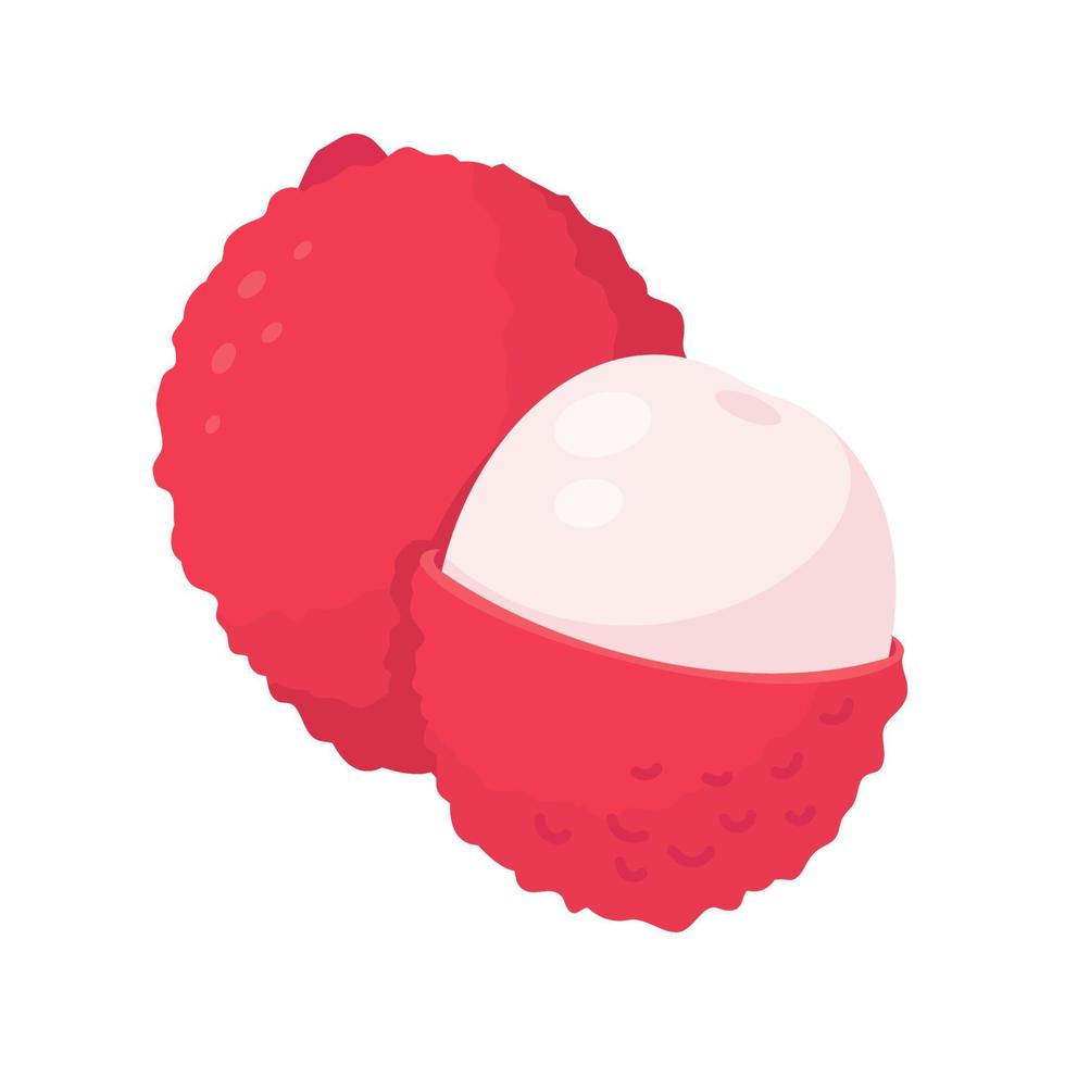 red lychee healthy sweet fruit for vegetarians vector