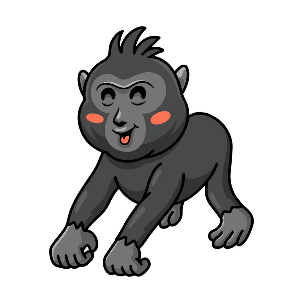 lindo pequeño macaco negro con cresta de dibujos animados vector