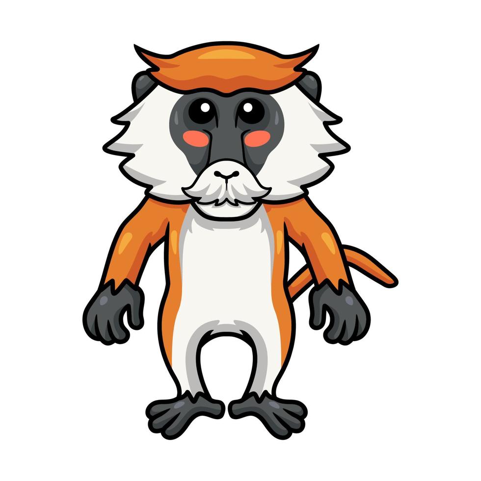 Cute little patas monkey cartoon standing vector