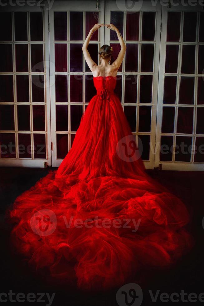 Beautiful woman in long red dress and in royal crown standing near retro fireplace door with stained-glass windows photo