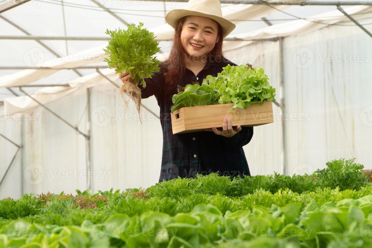 las agricultoras asiáticas cosechan verduras frescas para ensaladas en granjas de sistemas de plantas hidropónicas en el invernadero para el mercado. concepto de verduras frescas y alimentos saludables. comercio e industria agrícola. foto