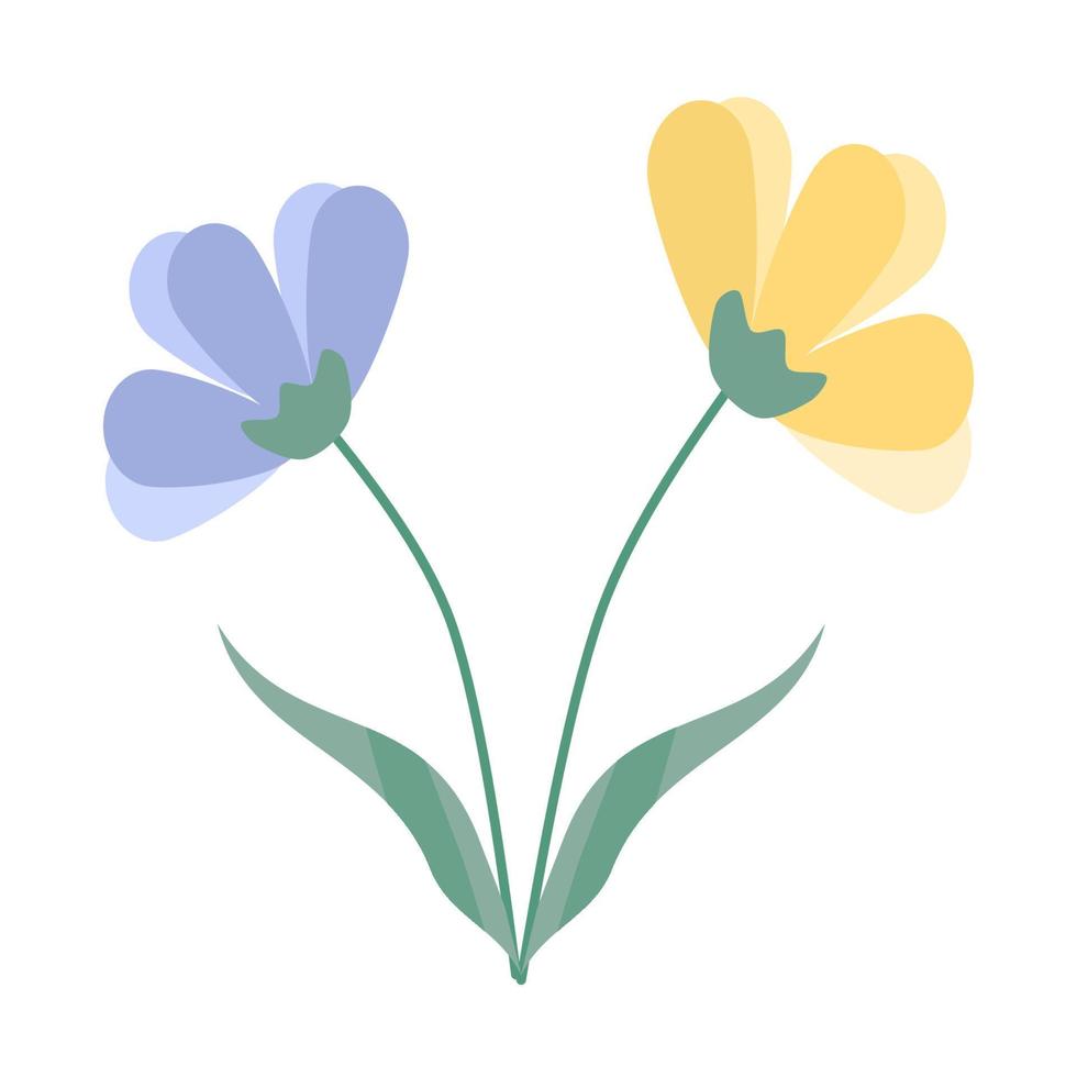 vector flower tulip