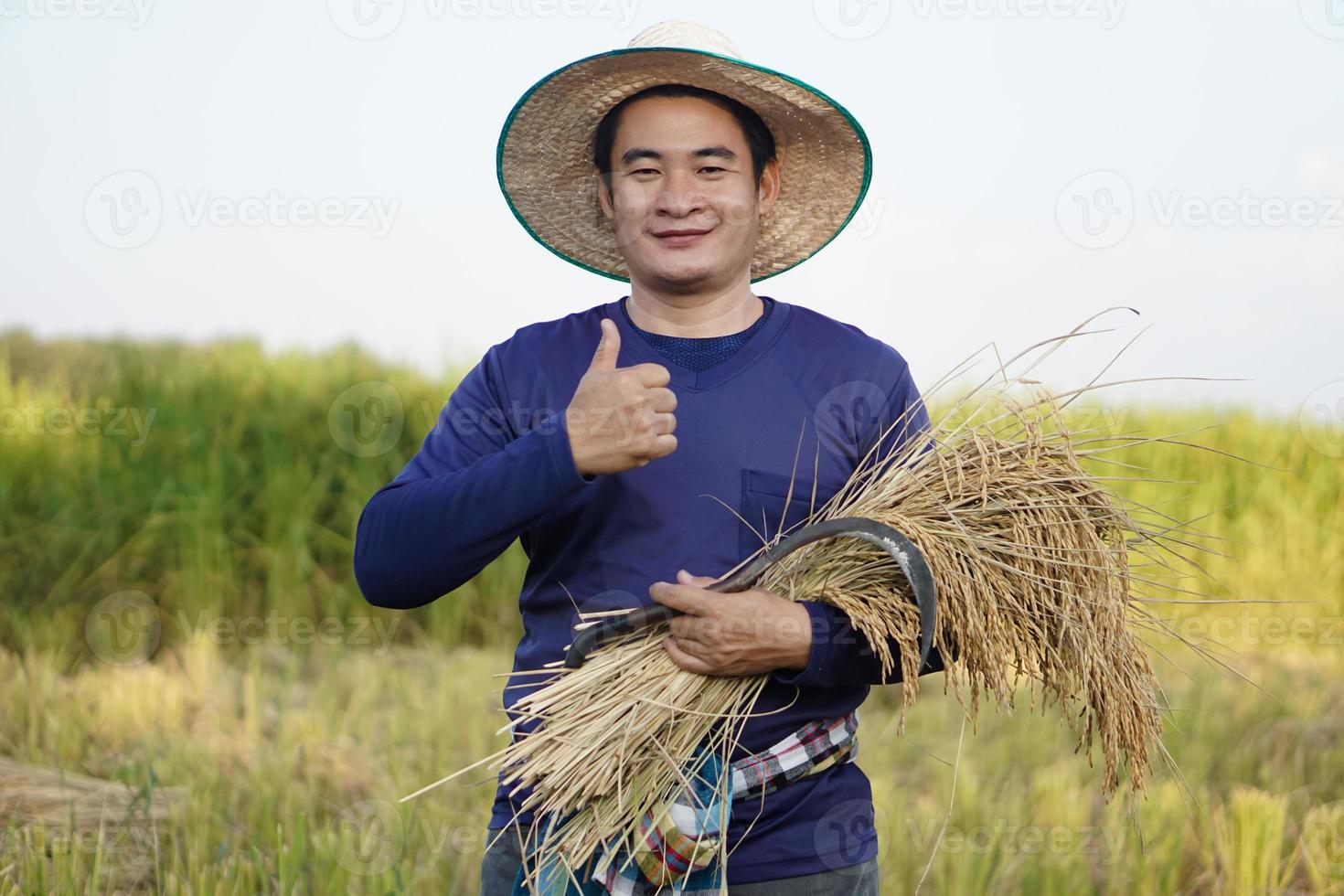 Handsome Asian male farmer wear hat, holds sickle and harvested rice plants at paddy field. Thumbs up. Concept , Agriculture occupation. Farmer with organic rice. photo