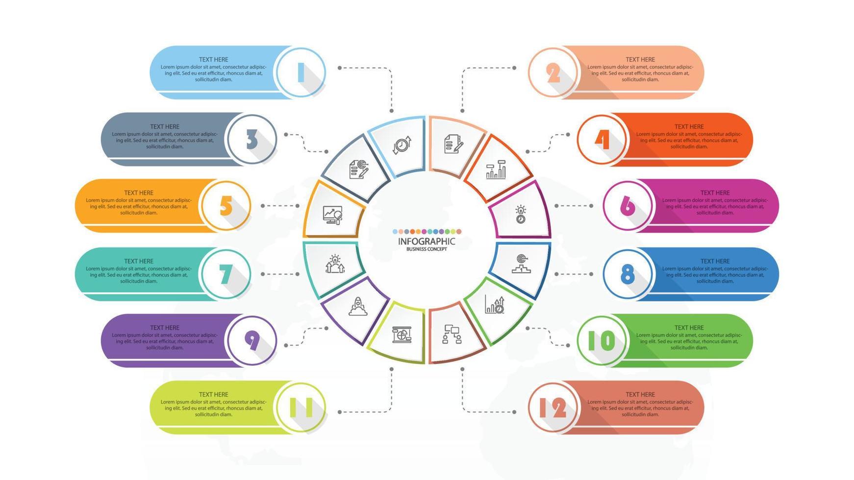 Standard infographic with 12 steps, process or options. vector