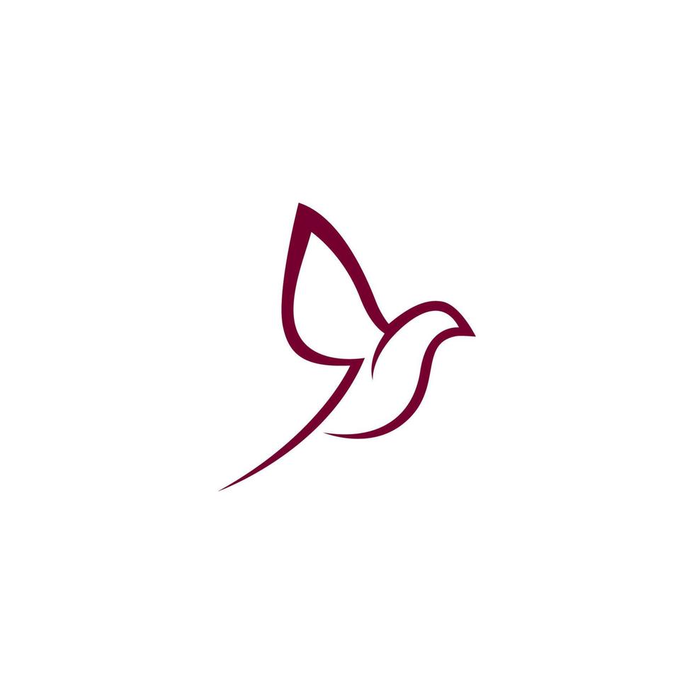 Bird logo images vector