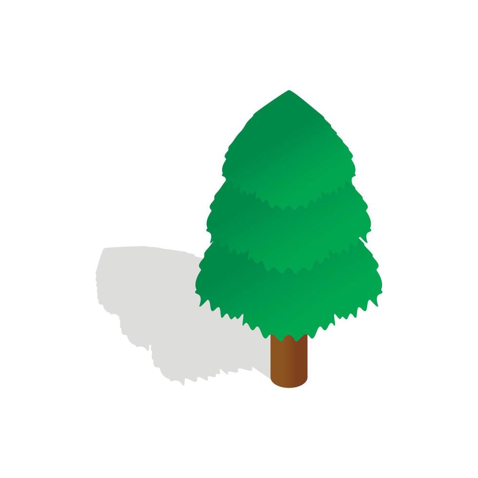 Spruce icon, isometric 3d style vector