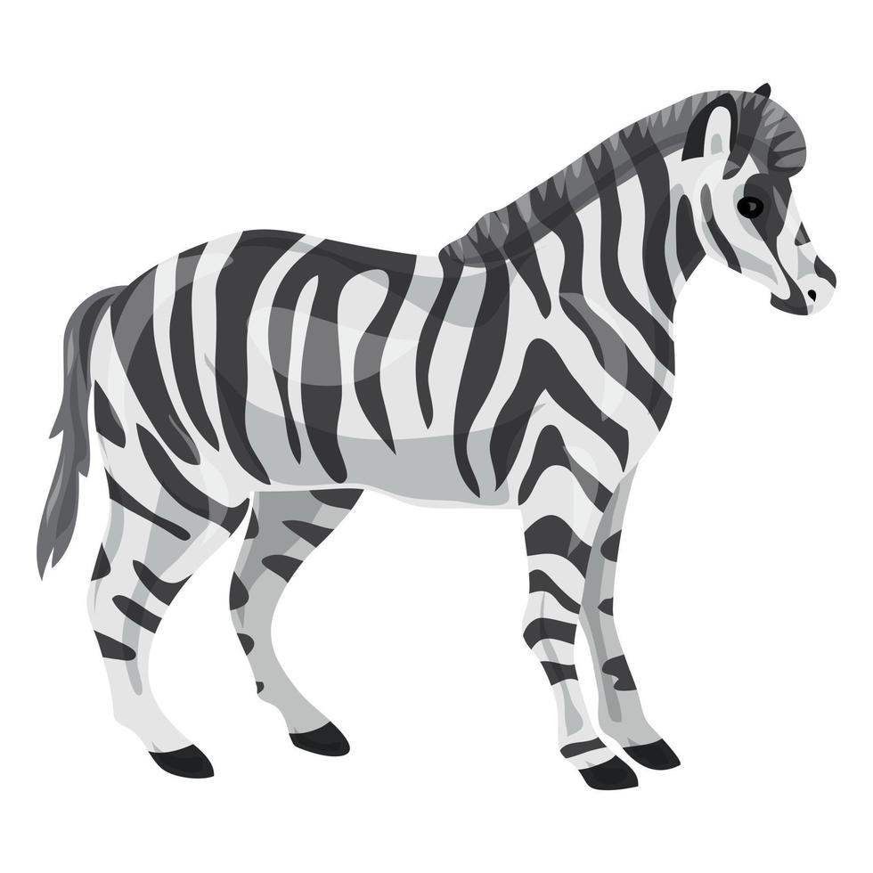 Zebra icon, cartoon style vector