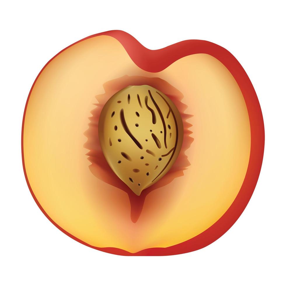 Half peach mockup, realistic style vector
