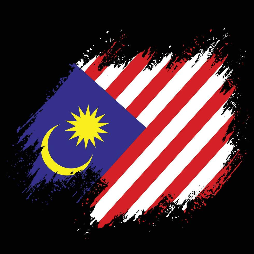 Professional Malaysia texture flag vector