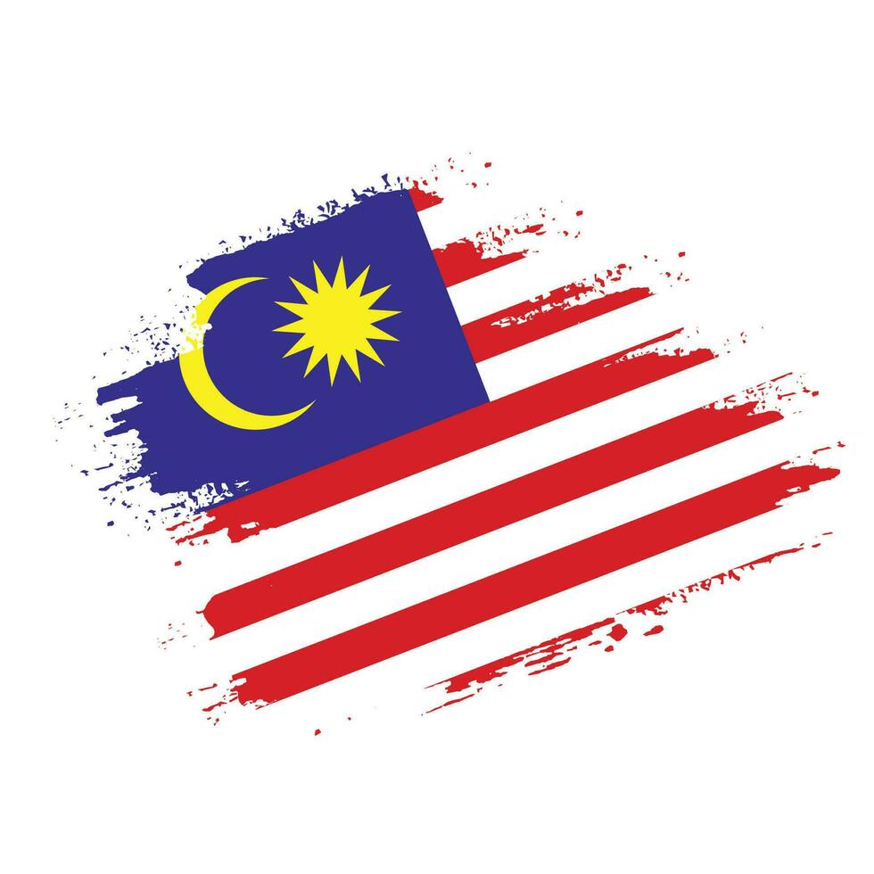 gráfico profesional malasia grunge textura bandera vector