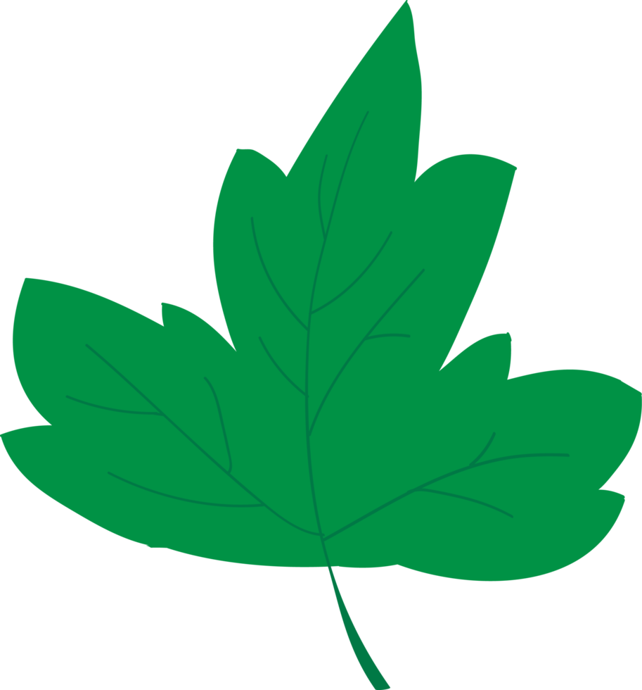 icono de hoja recortada png