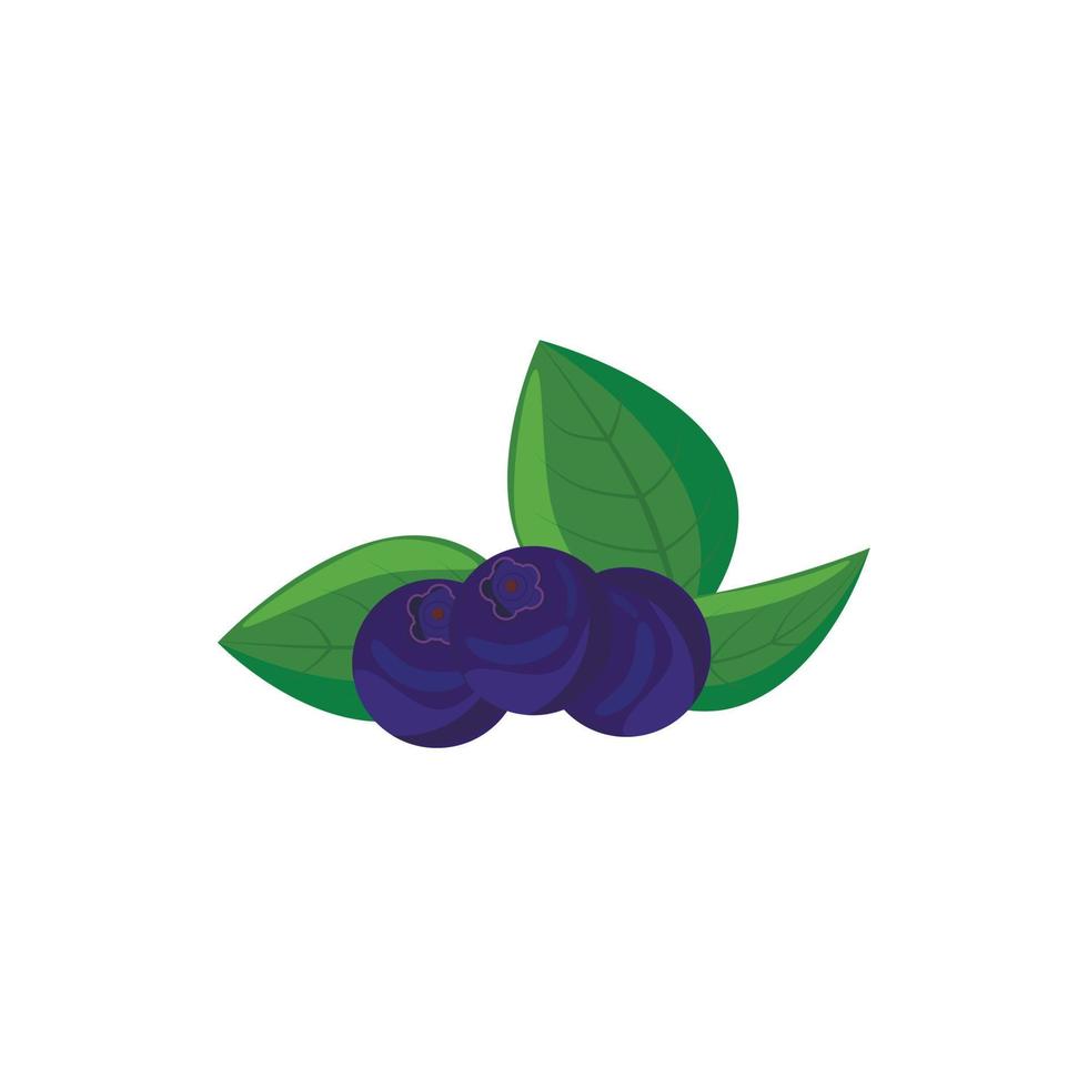 Ripe bilberries with green leaves icon vector
