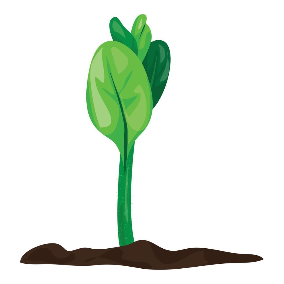Grow soybean plant icon, cartoon style vector