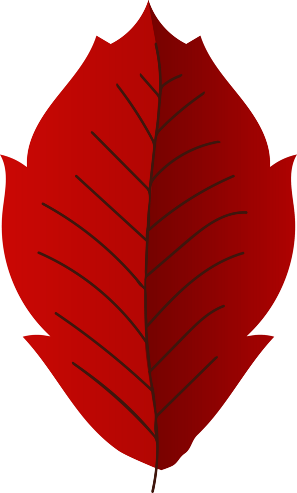 Leaf crop-out icon png
