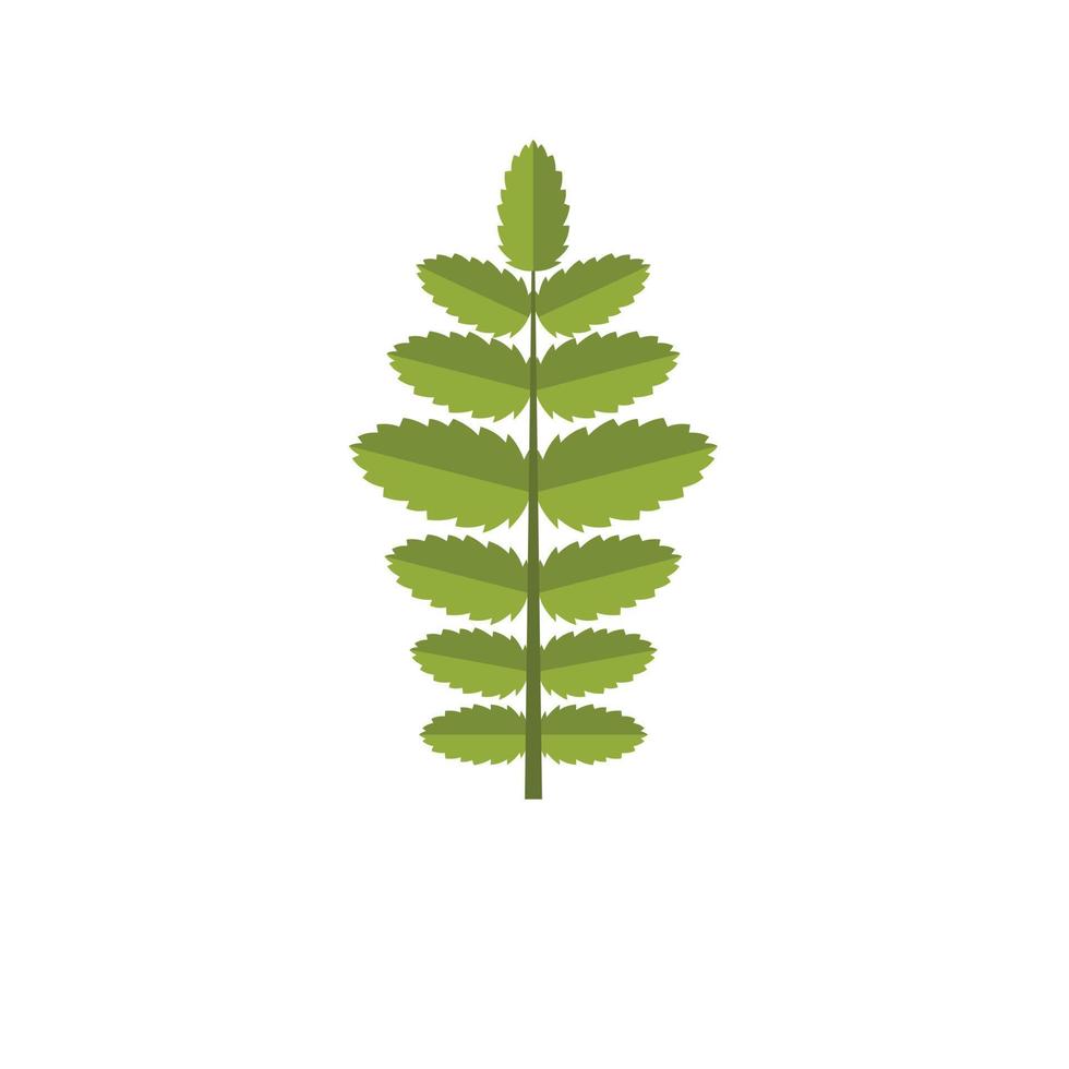 Rowan leaf icon, flat style vector